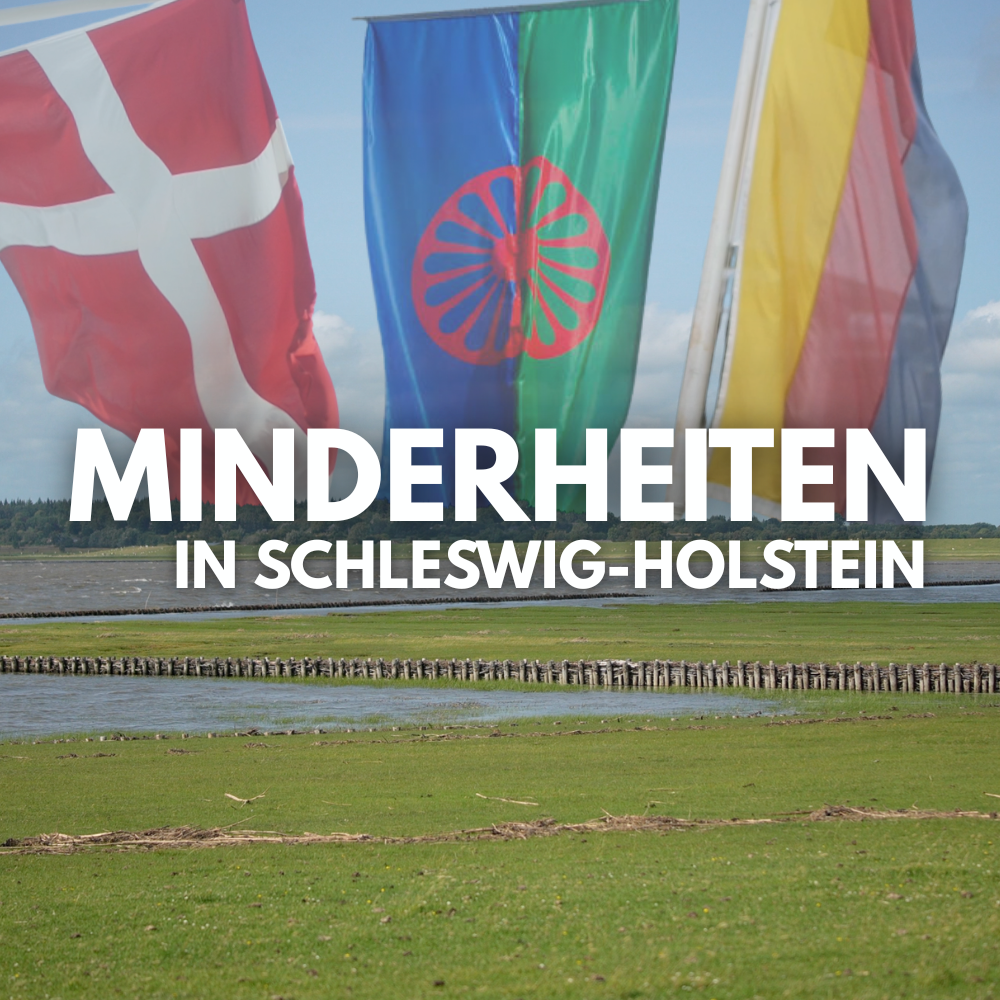 Schleswig-Holsteinische Landschaft, darüber der Text: Autochthone Minderheiten in Schleswig-Holstein, im Hintergrund die dänische Flagge, die Flagge der Roma und die Flagge der Friesen.